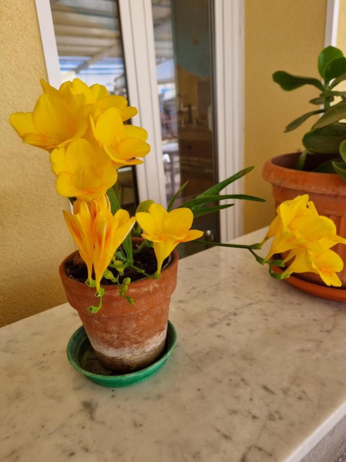 Albergo Stella Di Mare 拉瓦尼亚 外观 照片