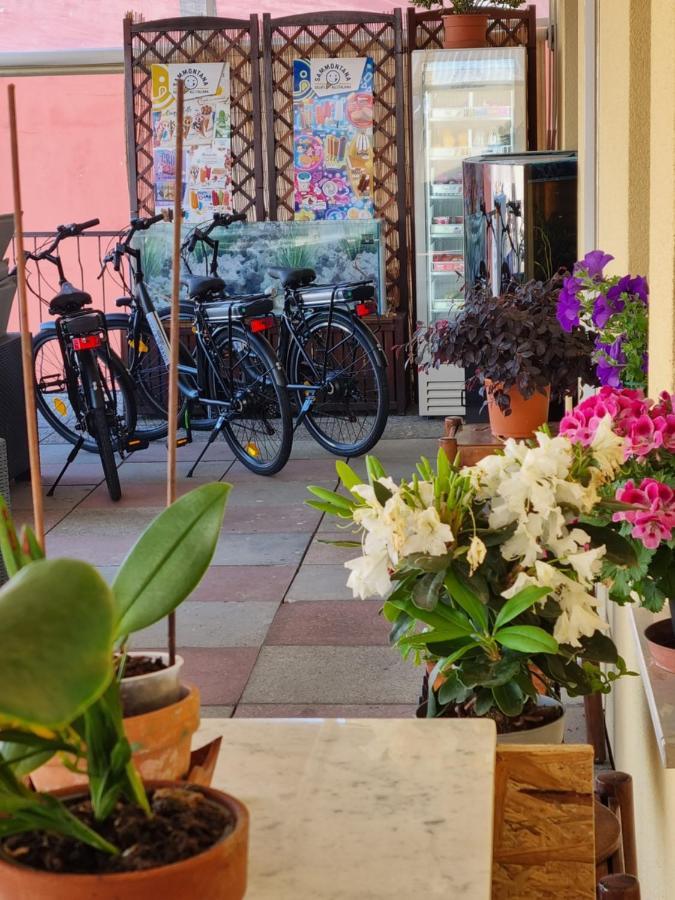 Albergo Stella Di Mare 拉瓦尼亚 外观 照片